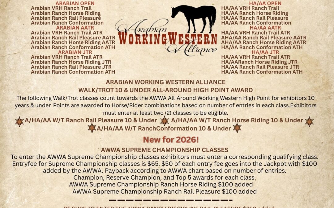 New High Point Awards!